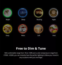 Load image into Gallery viewer, B02-BL A60 WIFI snjall ljósapera hvít litbrigði