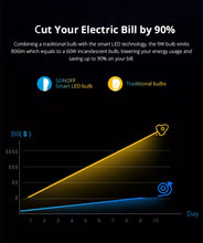 Load image into Gallery viewer, B02-BL A60 WIFI snjall ljósapera hvít litbrigði