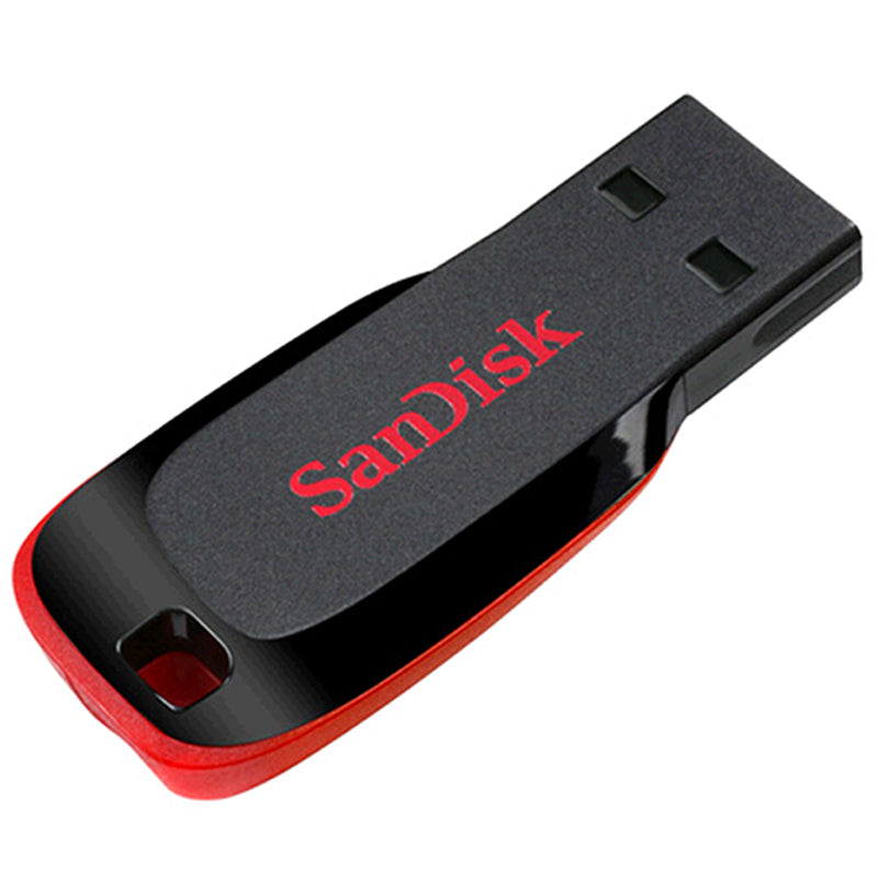 SanDisk USB 2.0 minniskubbur